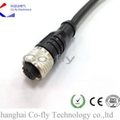 Other Consumer Electronics