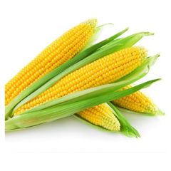 Corn