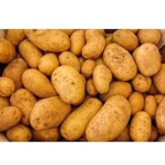 Fresh Potatoes