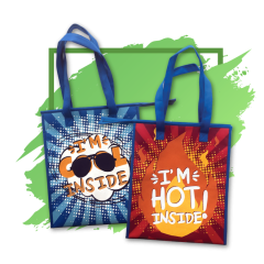 Picnic Bags