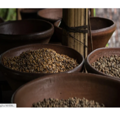 Coffee Beans