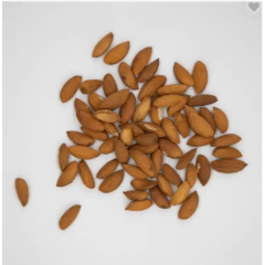 Nuts & Kernels