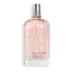 Perfume & Fragrance