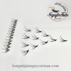 False Eyelashes & Tools