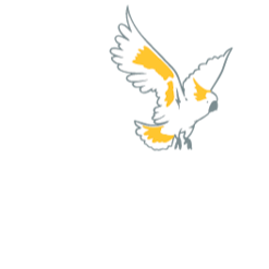 Crest Chocolates