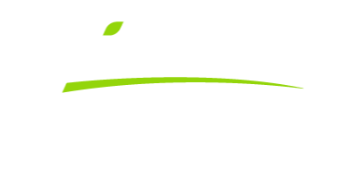 Dairy Group